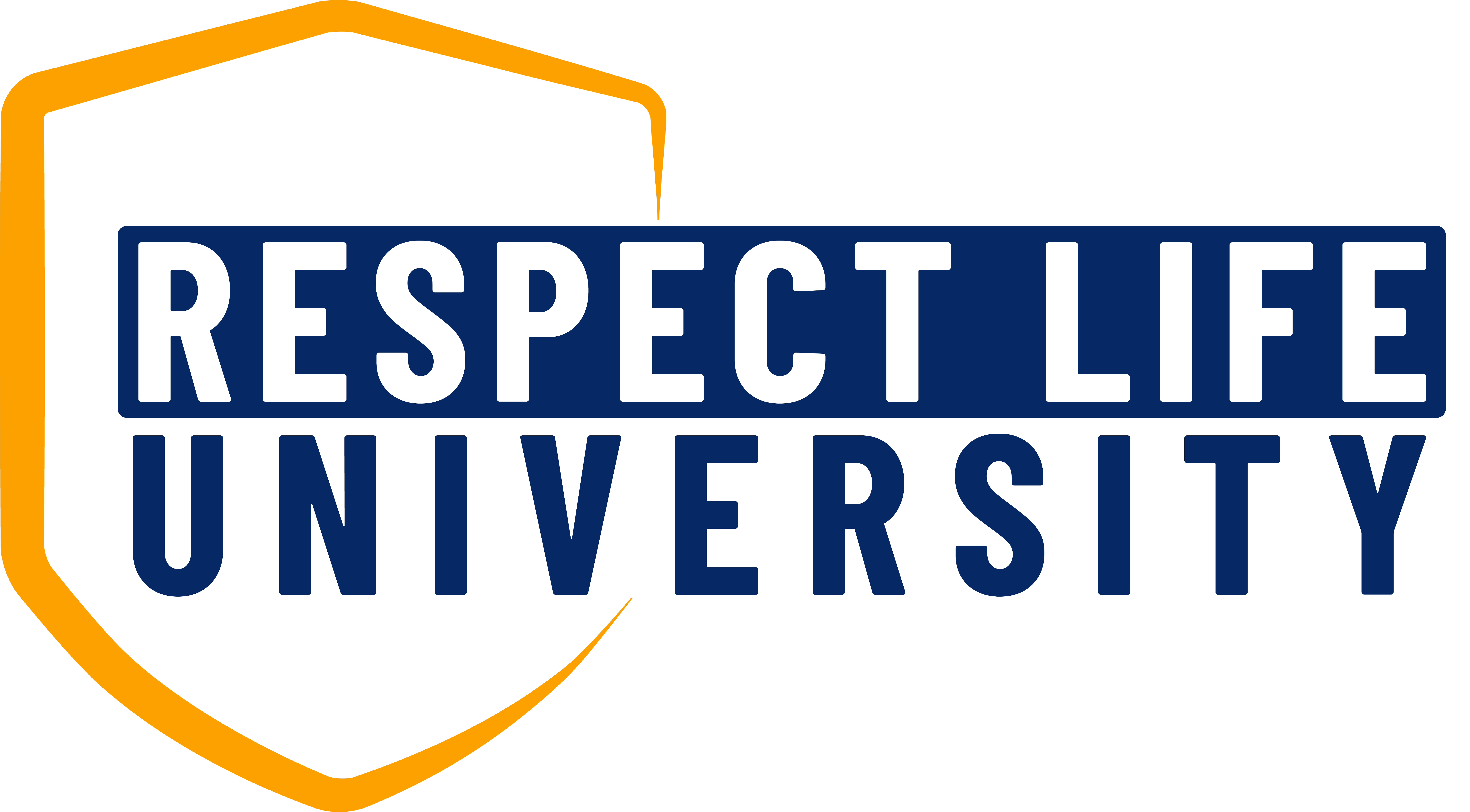 Life Principles Academy Logo